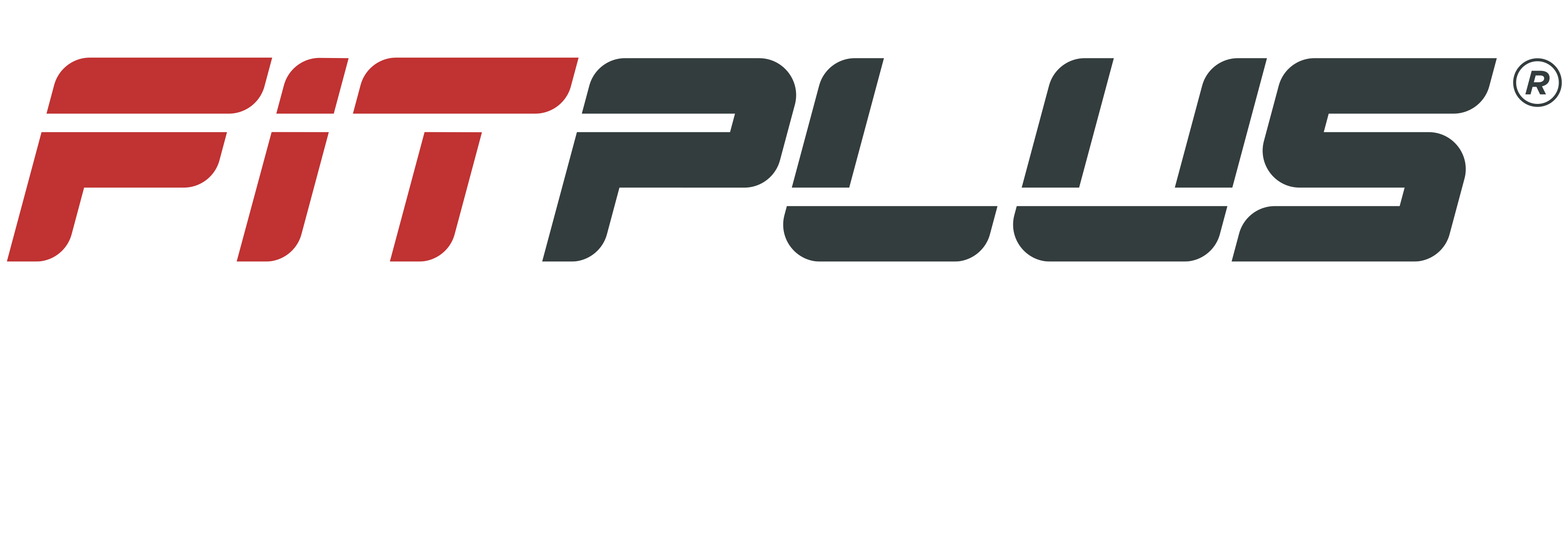 logo fitplus
